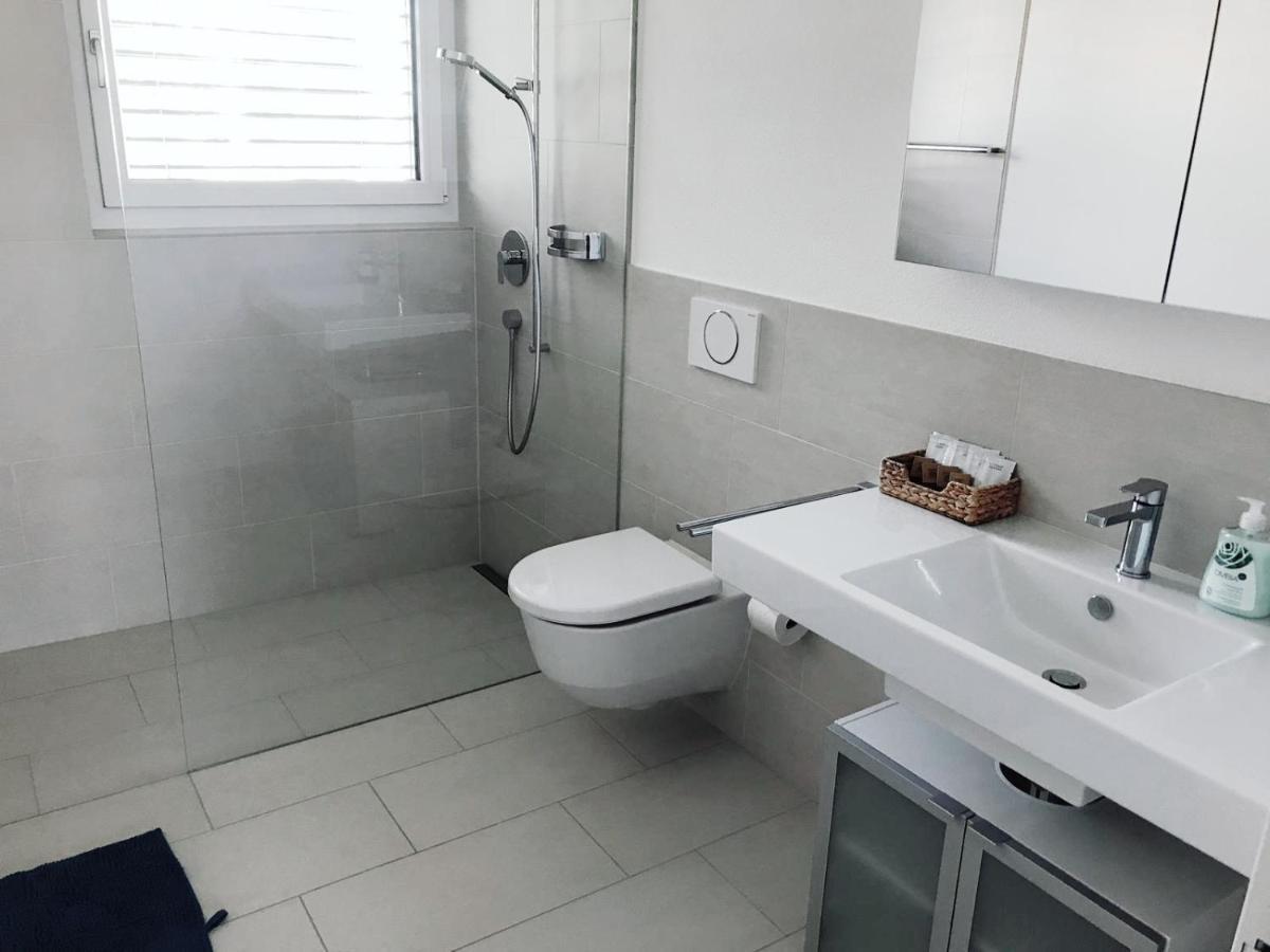 Easy-Living Apartments Dietwil エクステリア 写真