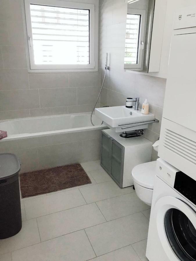 Easy-Living Apartments Dietwil エクステリア 写真