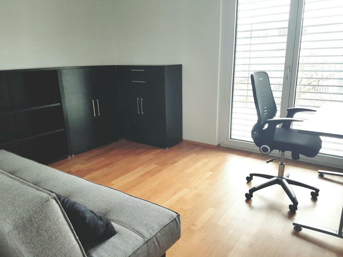 Easy-Living Apartments Dietwil エクステリア 写真