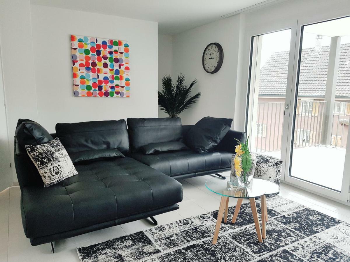 Easy-Living Apartments Dietwil エクステリア 写真